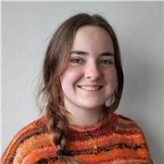 Cours / Soutiens en mathématiques en collège / lycée.